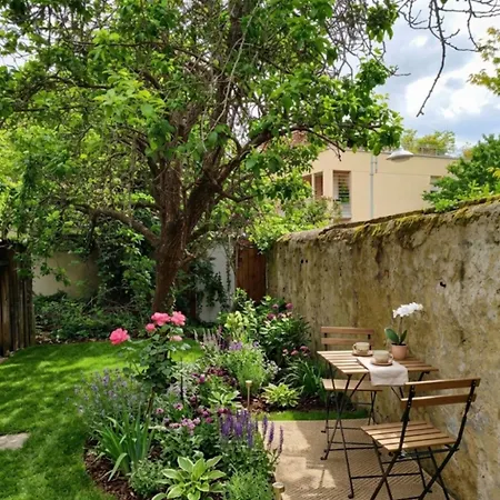 Lumineux Avec Jardin Privatif
